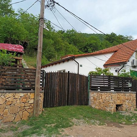 Willa Andrei Sasca Montană Zewnętrze zdjęcie