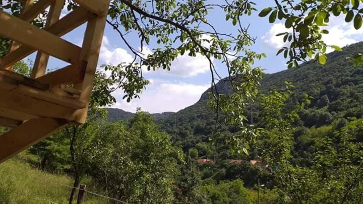 Willa Andrei Sasca Montană Zewnętrze zdjęcie