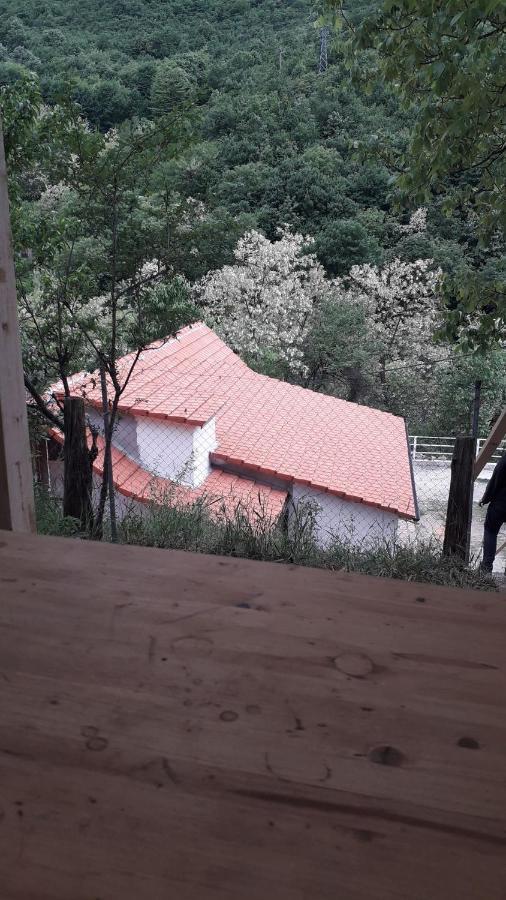 Willa Andrei Sasca Montană Zewnętrze zdjęcie