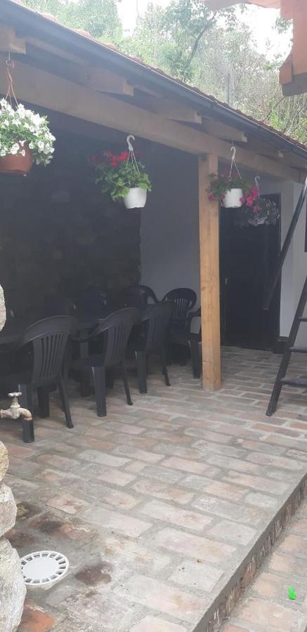 Willa Andrei Sasca Montană Zewnętrze zdjęcie