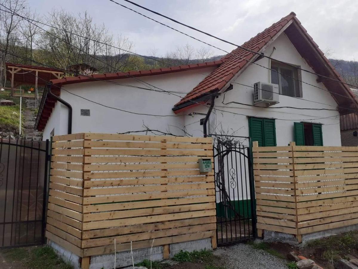 Willa Andrei Sasca Montană Zewnętrze zdjęcie