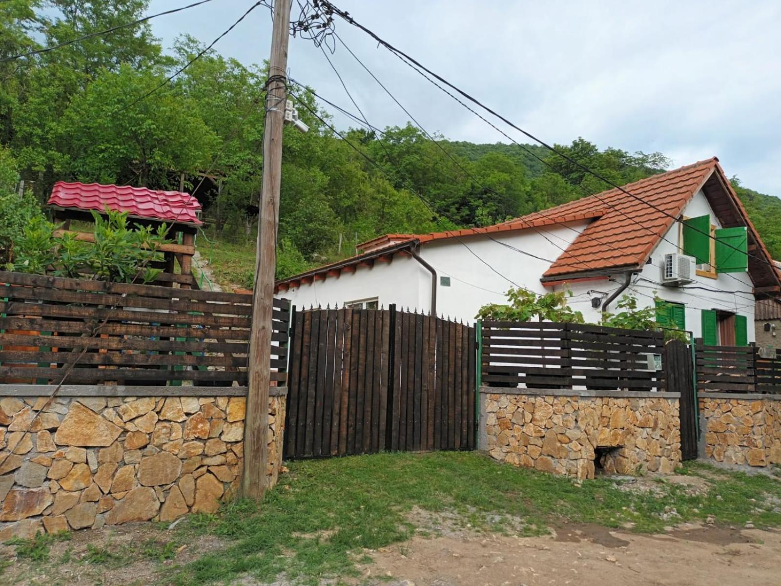 Willa Andrei Sasca Montană Zewnętrze zdjęcie
