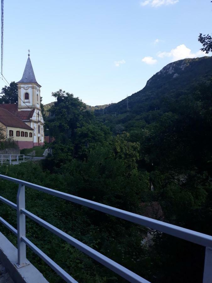 Willa Andrei Sasca Montană Zewnętrze zdjęcie